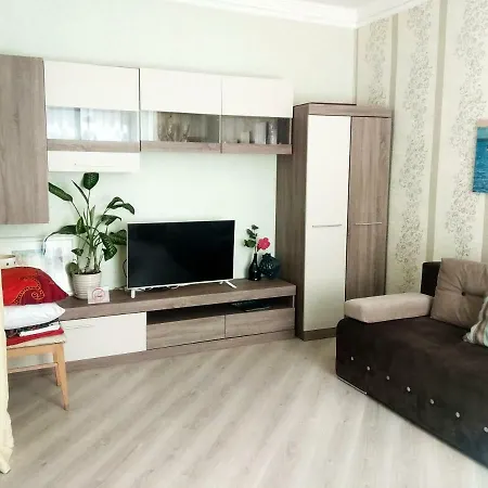 Centre On Mayakovskogo Lane Apartment *